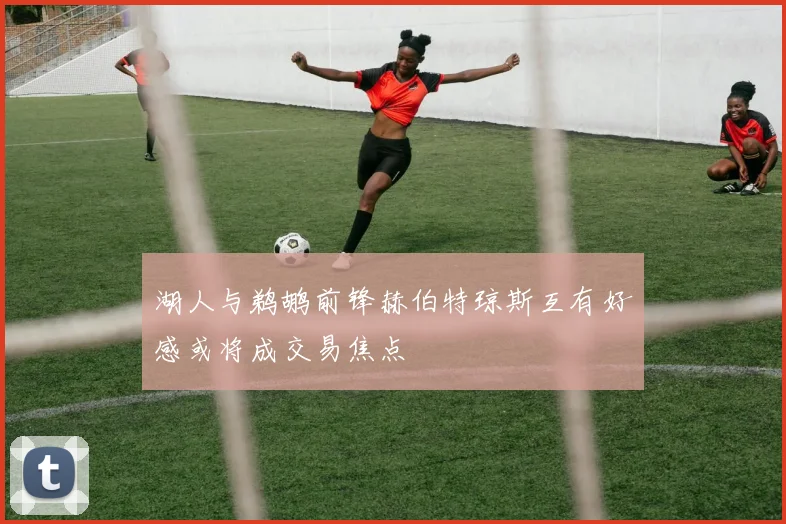 湖人与鹈鹕前锋赫伯特琼斯互有好感或将成交易焦点